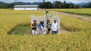Read more about the article پروژه SARAi: جایی که تمرین سنتی و فناوری کشاورزی با هم ملاقات می کنند – FlipScience