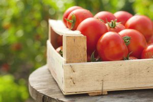 Read more about the article ردیابی فواید سلامتی گوجه فرنگی برای میکروب های روده