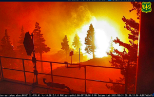 Read more about the article آتش سوزی های جنگلی در غیرمعمول جدید بدتر می شود و خانه های بیشتری را می سوزاند